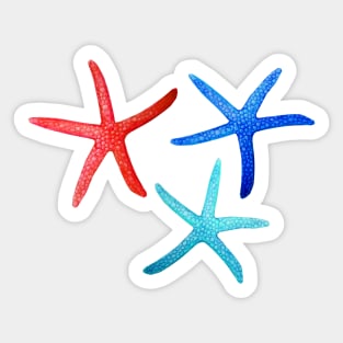 Starfish in Red, Aqua and Cobalt Sticker